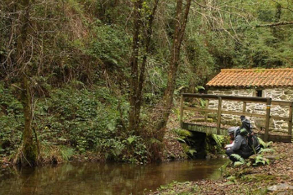 Appartamento Hyp - A Casa Da Fina Mino Esterno foto